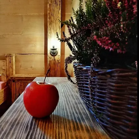 Bukowianska Ostoja Jacuzzi Sauna I Balia W Ofercie Lägenhet Bukowina Tatrzańska